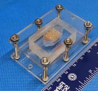 Δημιούργησαν ανθρώπινο ιστό με 3D εκτυπωτή-HUMAN TISSUE IN 3D - Φωτογραφία 1