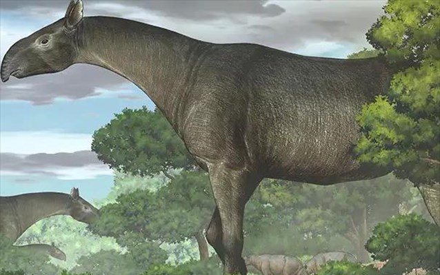 Ανακαλύφθηκε ο «Ρινόσαυρος», το μεγαλύτερο θηλαστικό της Γης - Φωτογραφία 1
