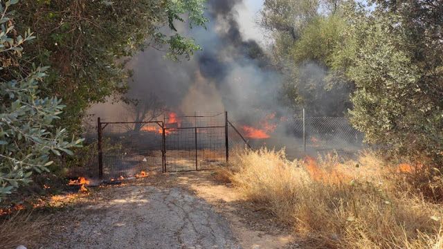 Φωτιά στη Νέα Κηφισιά: Βγήκαν στις αυλές οι κάτοικοι για να σβήσουν τις φλόγες - Φωτογραφία 1