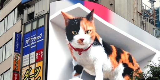 Μια τεράστια τρισδιάστατη γάτα κλέβει τα βλέμματα στο πιο πολυσύχναστο σιδηροδρομικό σταθμό του Τόκιο. Βίντεο. - Φωτογραφία 1