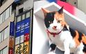 Μια τεράστια τρισδιάστατη γάτα κλέβει τα βλέμματα στο πιο πολυσύχναστο σιδηροδρομικό σταθμό του Τόκιο. Βίντεο.
