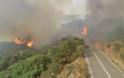 Φωτιά στη Χίο: Εκκενώθηκαν προληπτικά 3 χωριά - Στη μάχη της κατάσβεσης και το ρωσικό θηρίο