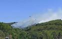 Μεγάλο πύρινο μέτωπο στα Στύρα Ευβοίας: Στα χίλια μέτρα από το Νιμπορειό οι φλόγες -Μάχη από αέρος και εδάφους