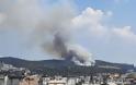Εστίες φωτιάς σε 4 σημεία εντόπισαν οι πυροσβέστες στο Σέιχ Σου