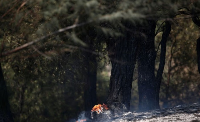 Θεσσαλονίκη: Σε ύφεση η πυρκαγιά στο Σέιχ Σου - Φωτογραφία 1