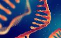 mRNA: Μια δοκιμασμένη και πολλά υποσχόμενη τεχνολογία - Φωτογραφία 1