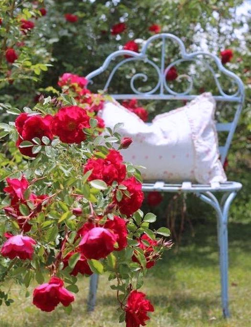 Προσθέστε Κόκκινες ...πινελιές στην αυλή ή το μπαλκόνι σας - Φωτογραφία 10