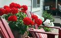 Προσθέστε Κόκκινες ...πινελιές στην αυλή ή το μπαλκόνι σας - Φωτογραφία 20