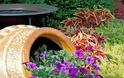 Καλοκαιρινές προτάσεις για τον Κήπο ή το Μπαλκόνι σας με Πετούνιες - Φωτογραφία 3