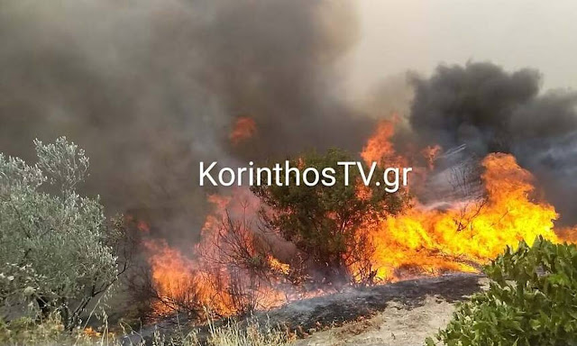 Φωτιά στο Καλέντζι Κορινθίας - Ενισχύθηκα οι πυροσβεστικές δυνάμεις - Φωτογραφία 1