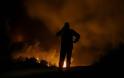 Φωτιά Επίδαυρος: Δύσκολη νύχτα για τους πυροσβέστες στην Αργολίδα - Εκκενώθηκε η Γκάτζια