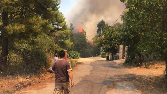 Φωτιά στη Σταμάτα: Τρομακτικές εικόνες με τεράστιες φλόγες πολύ κοντά σε σπίτια - Φωτογραφία 1