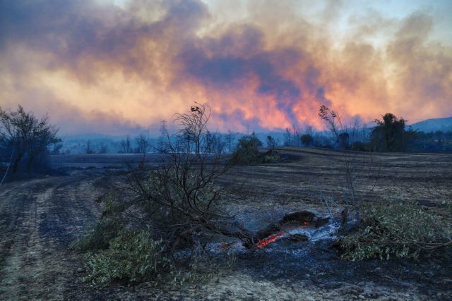 Τουρκία: Ένας νεκρός από τη δασική πυρκαγιά που μαίνεται για δεύτερη ημέρα στα νότια της χώρας - Φωτογραφία 1