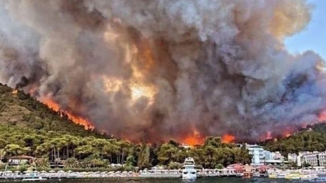Τουρκία: Στους έξι οι νεκροί από τις δασικές πυρκαγιές - Εκκενώθηκαν σπίτια και ξενοδοχεία στο Μπόντρουμ - Φωτογραφία 1