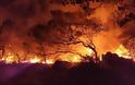 Δύσκολη νύχτα με τη φωτιά στη Ρόδο: Νέο μήνυμα ετοιμότητας από 112 για Μαριτσά και Καλυθιές - Ισχυροί άνεμοι στην περιοχή