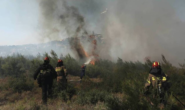 Φωτιά στο Σουφλί - Επιχειρούν 22 πυροσβέστες με 12 οχήματα - Φωτογραφία 1