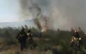 Φωτιά στο Σουφλί - Επιχειρούν 22 πυροσβέστες με 12 οχήματα