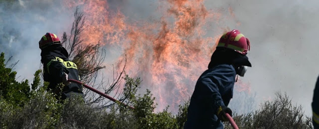 Μεγάλη φωτιά στην Άνω Βαρυμπόμπη: Καίει παρθένο δάσος - Συναγερμός στην πυροσβεστική - Φωτογραφία 1
