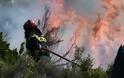 Μεγάλη φωτιά στην Άνω Βαρυμπόμπη: Καίει παρθένο δάσος - Συναγερμός στην πυροσβεστική