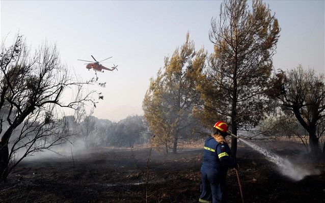Πάνω από 60.000 στρέμματα κάηκαν το πρώτο τετραήμερο του Αυγούστου - Φωτογραφία 1