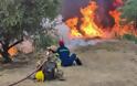 Αρχαία Ολυμπία: Στις φλόγες οι Πεύκες - Καίγονται σπίτια - Πληροφορίες για εγκλωβισμένους