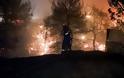 Φωτιά: Δραματικό βράδυ - Εκκενώνονται Άγιος Στέφανος, Πολυδένδρι, Καπανδρίτι