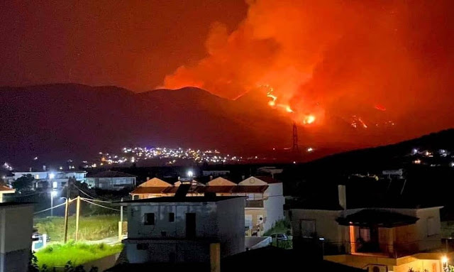 Φωτιά στη Φωκίδα: Τεράστιο το μέτωπο της πυρκαγιάς - Πάνω από 8 χιλιόμετρα - Φωτογραφία 1