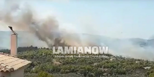 Φωτιά στον Θεολόγο - Δόθηκε εντολή εκκένωσης, καίγονται σπίτια - Φωτογραφία 1