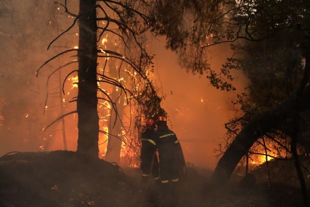 Φωτιά Μαλακάσα:  Οι φλόγες πέρασαν την εθνική προς Ωρωπό - Εκκενώνονται περιοχές - Φωτογραφία 1