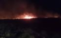 Φωτιά Λάρισα: Νέα πυρκαγιά στο Δίλοφο