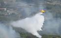 Φωτιά Ηράκλειο: Μεγάλη κινητοποίηση της πυροσβεστικής λίγο έξω από το Ηράκλειο