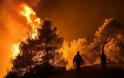 Φωτιά Ιωάννινα: Πυρκαγιά σε δασική έκταση στο Μιτσικέλι