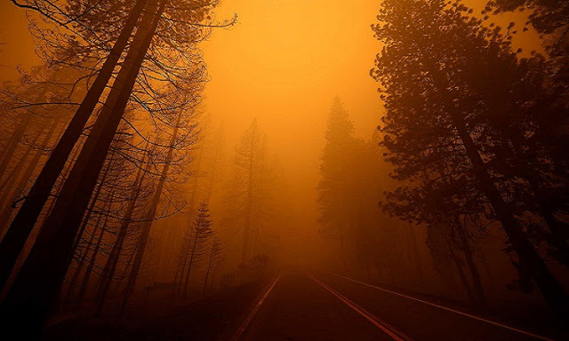 Καλιφόρνια: 8 αγνοούμενοι από την φωτιά Ντίξι - Εικόνες αποκάλυψης για μια ακόμα φορά - Φωτογραφία 1