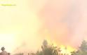Φωτιά Εύβοια: Ξεφεύγει η κατάσταση σε Αβγαριά και Γερακιού - Μάχη με τις αναζωπυρώσεις