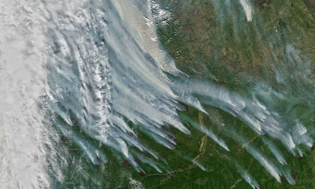 Στον Βόρειο Πόλο έφτασε ο καπνός από τις πυρκαγιές στη Σιβηρία - Πρώτη φορά στην καταγεγραμμένη ιστορία - Φωτογραφία 1