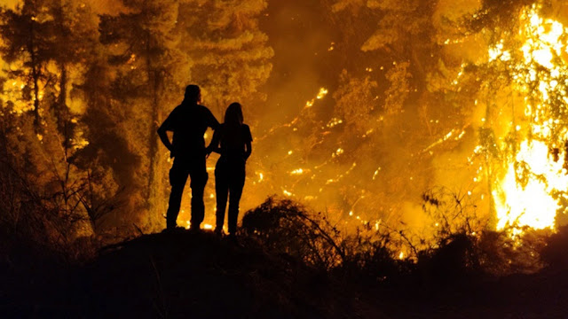 Φωτιά Αρκαδία: Ολονύχτια μάχη για να μην περάσει η φωτιά στο Μαίναλο - Φωτογραφία 1