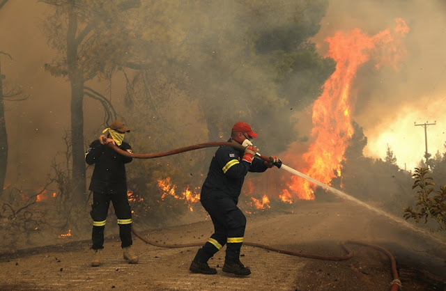 Φωτιά Λακωνία: Καμένη γη, νεκρά ζώα και κατεστραμμένες περιουσίες στη Μάνη - Φωτογραφία 1
