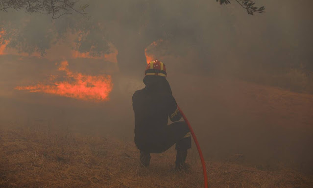 Φωτιά Χαλκιδική: Πυρκαγιές στη Σιθωνία και στην Κασσάνδρα - Φωτογραφία 1
