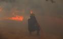 Φωτιά Χαλκιδική: Πυρκαγιές στη Σιθωνία και στην Κασσάνδρα