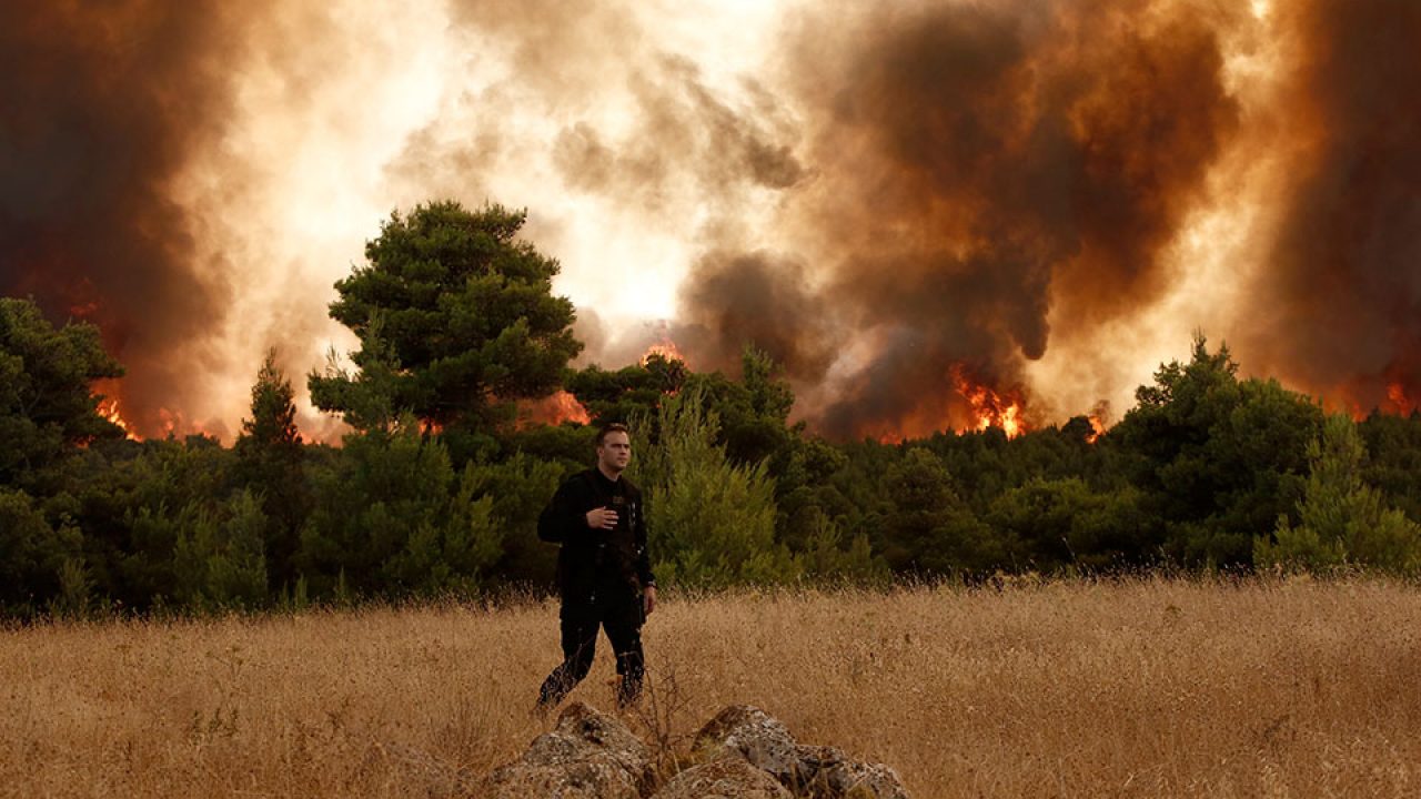 Υποχρεωτικά αναδασωτέα τα δημόσια ή ιδιωτικά δάση που καταστράφηκαν από τις πυρκαγιές - Φωτογραφία 1