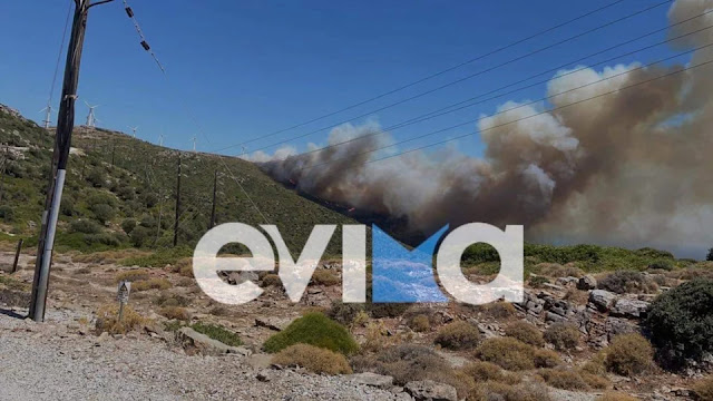 Φωτιά Εύβοια: Μήνυμα του 112 για προληπτική εκκένωση στα Μεσοχώρια Καρύστου - Φωτογραφία 1