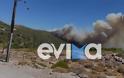 Φωτιά Εύβοια: Μήνυμα του 112 για προληπτική εκκένωση στα Μεσοχώρια Καρύστου