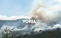 Φωτιά Καβάλα: Συναγερμός για πυρκαγιά στους πρόποδες του παγγαίου