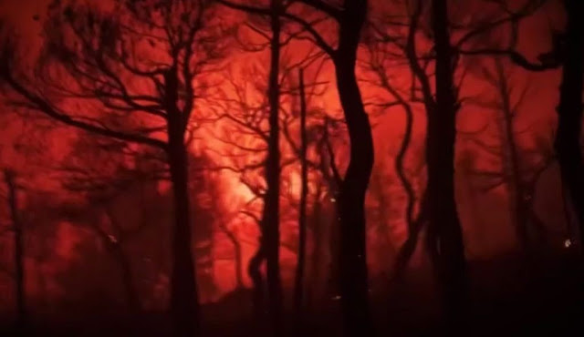 Φωτιά Βίλια: Μάχη με τις φλόγες για δεύτερη νύχτα- Καίγεται η κορυφογραμμή του Όρους Πατέρα - Φωτογραφία 1