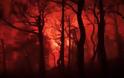 Φωτιά Βίλια: Μάχη με τις φλόγες για δεύτερη νύχτα- Καίγεται η κορυφογραμμή του Όρους Πατέρα