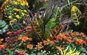 15+ Συνδυασμοί φυτών για Φθινοπωρινές γλάστρες - Φωτογραφία 10