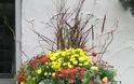 15+ Συνδυασμοί φυτών για Φθινοπωρινές γλάστρες - Φωτογραφία 6