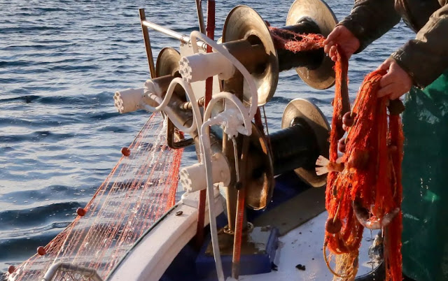 Βόλος: Ψαράς βρήκε νεκρό ψαροντουφεκά και ξαναπέταξε το πτώμα στη θάλασσα - Φωτογραφία 1