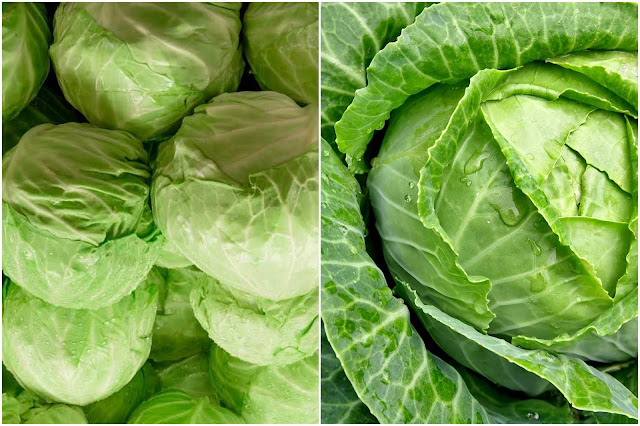 9 Εύκολης καλλιέργειας Λαχανικά για λαχανόκηπο ή γλάστρες - Φωτογραφία 4
