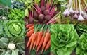 9 Εύκολης καλλιέργειας Λαχανικά για λαχανόκηπο ή γλάστρες